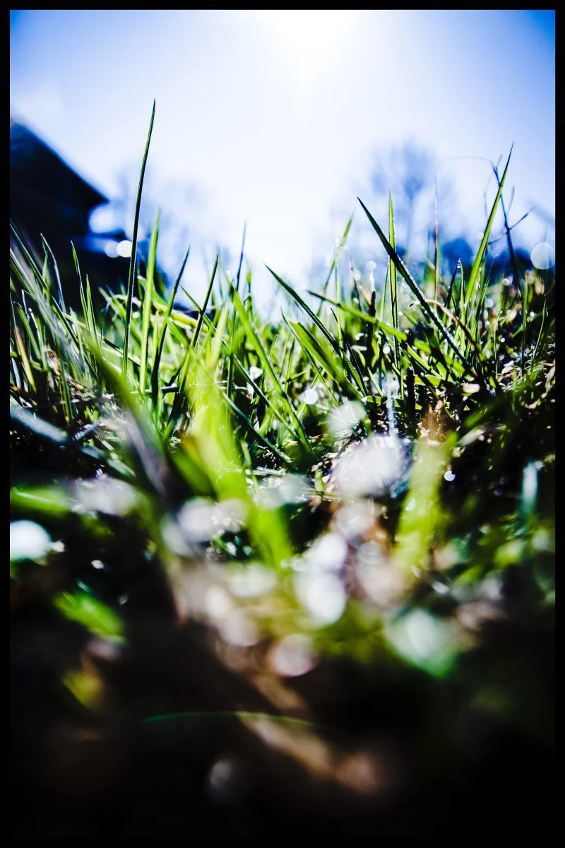 endlich-fruehling-ff81da45-ba51-4446-868d-6663363f28c8