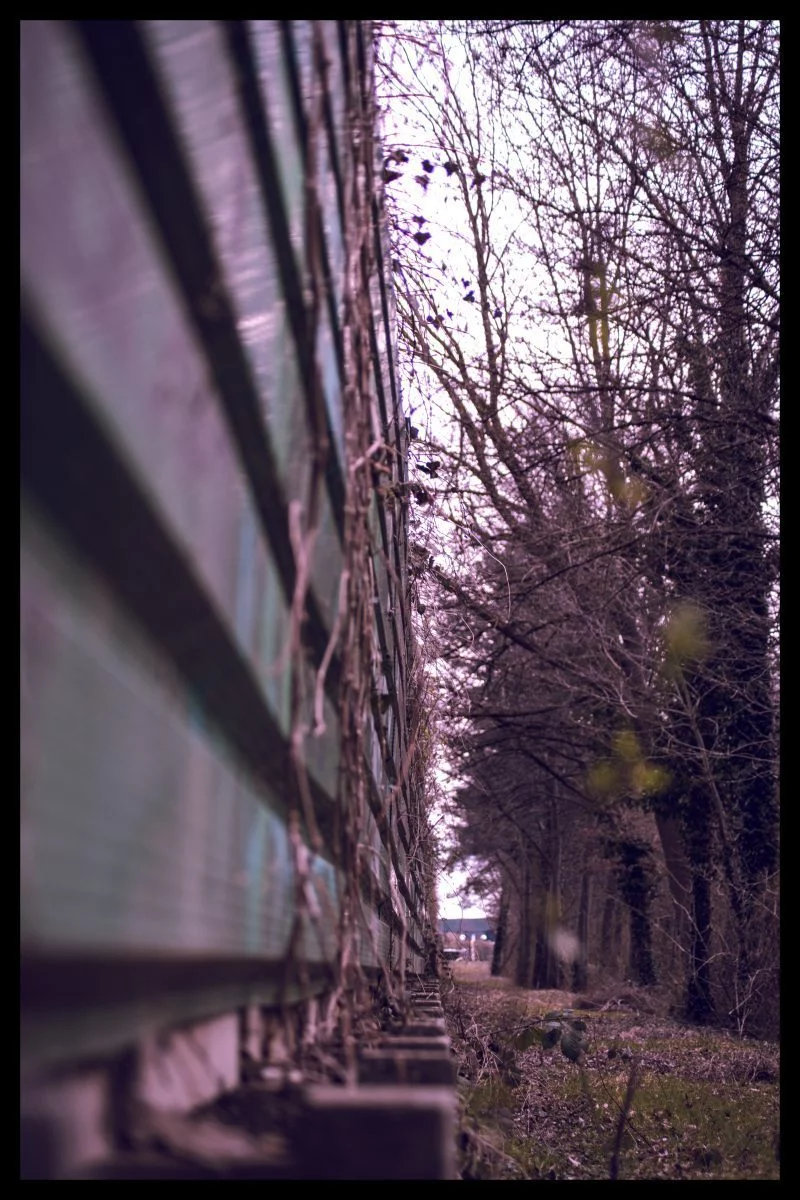 grenze-zwischen-verkehr-und-ruhe-f0b6940b-c42a-4b01-a794-00e8aa8eb32e