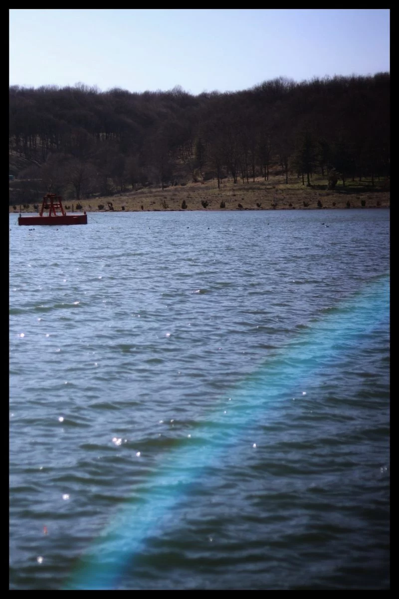 natur-4464d576-7d7d-4877-aff5-24ed236b4ea4