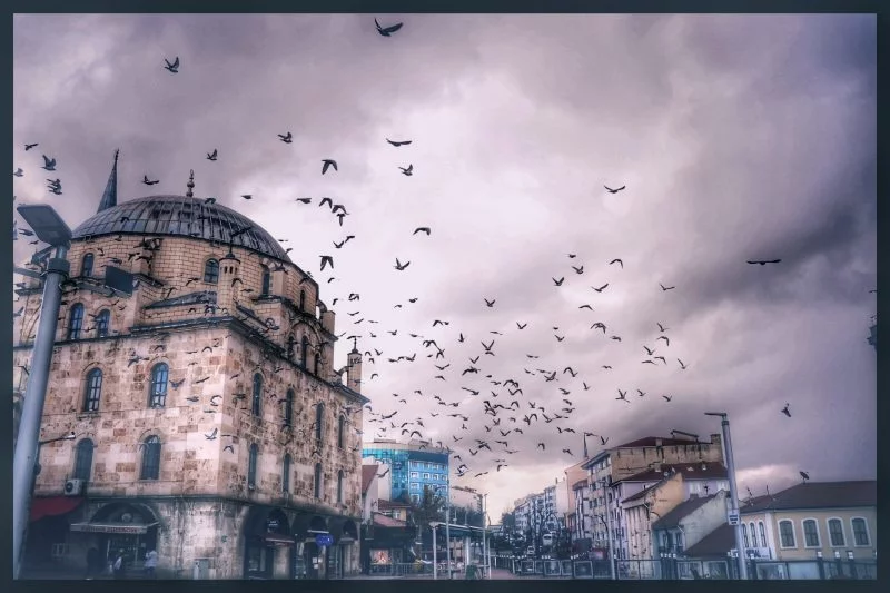 stadtleben-in-bewegung-taubenflug-ueber-bolu-01b3939d-247e-4149-919f-27c2211c910b