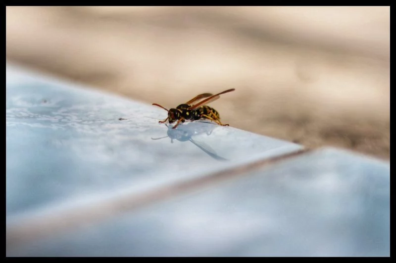 wir-kommen-langsam-raus-318af793-9492-4b41-a1ea-a68a4e835c00